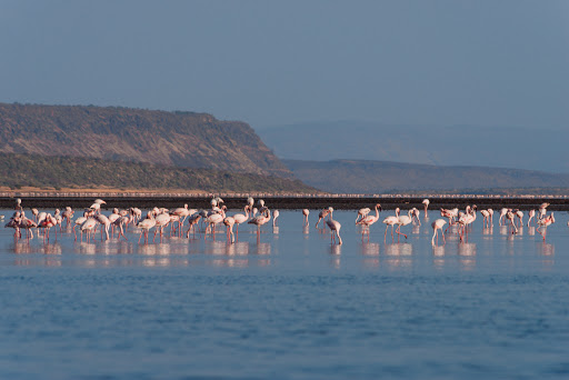 Lake Magadi Conservancy